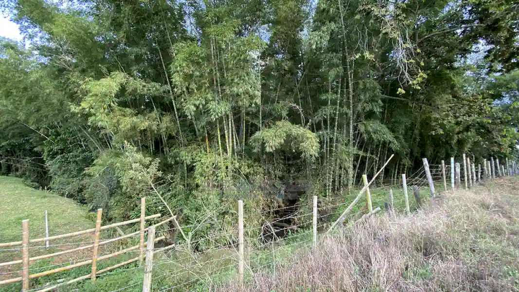 Finca La Esperanza